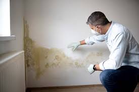 Best Air Quality Testing for Mold Spores  in Hayward, WI